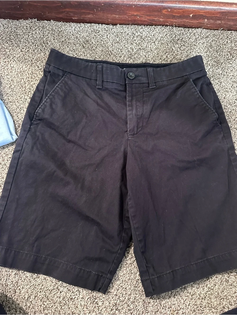 Men's Black Cotton Chino Shorts